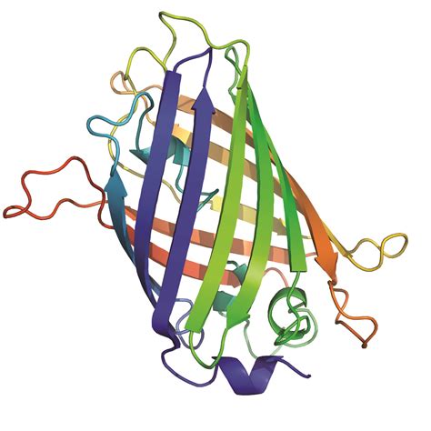 Dartmouth Undergraduate Journal of Science | Nobel Prize in Chemistry ...