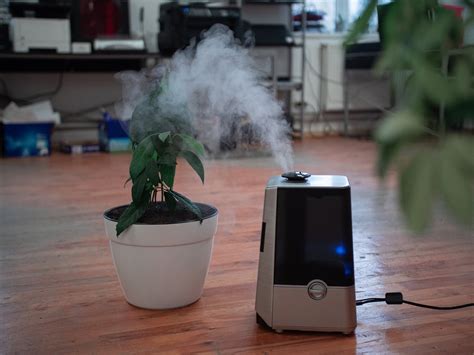 How To Choose An Air Purifier For Allergies