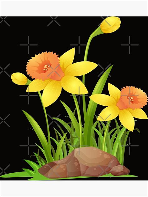 "Daffodil" Poster by virilamissa | Redbubble