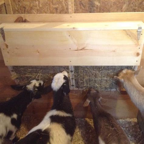 Goat slow feed hay rack | Goat milk, Goats, Homemade