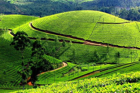 இஸ்லாம் உங்கள் கையில்: Munnar Sightseeing | Munnar Hill Station