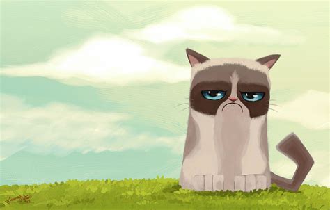 Grumpy Cat Drawings : Grumpy Cat Drawing At Getdrawings | Driskulin