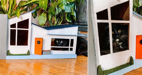 Designer Creates Her Cats A Mid-Century Modern Style Cardboard House ...