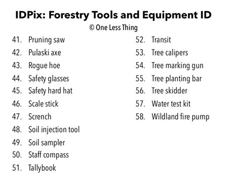 Forestry Equipment and Tools ID, PowerPoint Downloads - One Less Thing