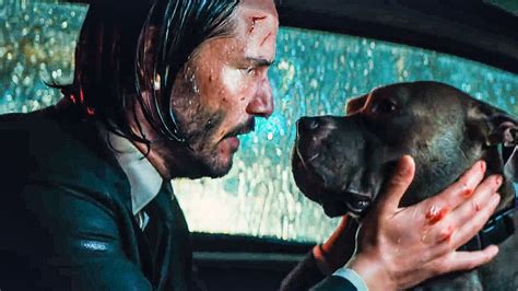 You're A Good Dog Scene - JOHN WICK 3 (2019) Movie Clip - YouTube