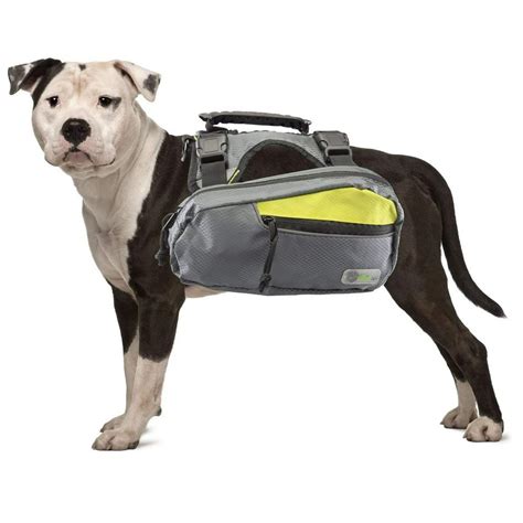 Go Fresh 2-in-1 Pet Dog Harness and Hiking Dog Backpack Outdoor Gear Travel Camping Rucksack, 2 ...