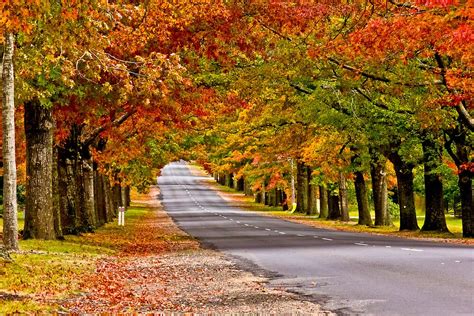 "Mt Macedon Autumn Colours" by Russell Charters | Redbubble