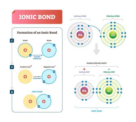 the formation and structure of an ionic bond infographical poster with information about each ...