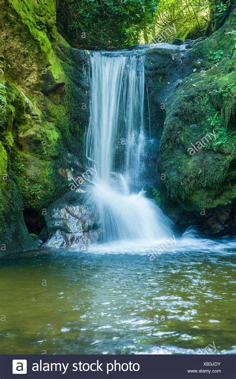 Download this stock image: waters, europe, stream, waterfall, black forest, waterfalls, brooks ...