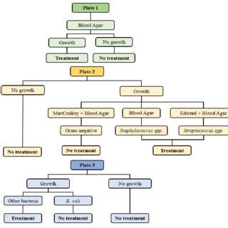 -Growth medium used during the microbiological diagnosis on the farm ...