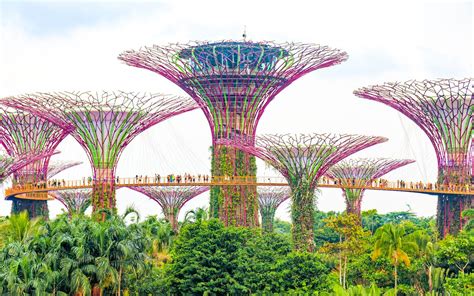 How to Visit Singapore’s Gardens by the Bay in a Day