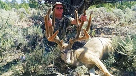 Record mule deer taken by Pioche man | Lincoln County Central