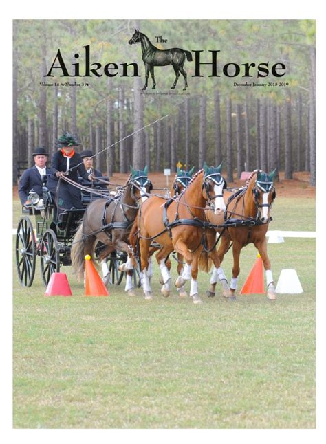 December-January 2018-19 – The Aiken Horse