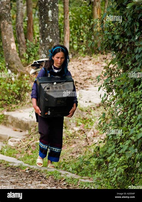 Hani woman carries her television to market Yuanyang China Stock Photo ...