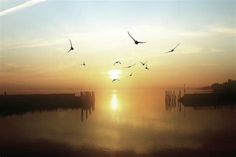 Lago Trasimeno travel - Lonely Planet | Umbria, Italy, Europe