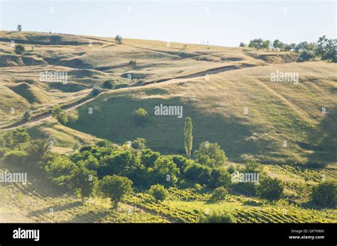 Summer landscape in the mountains and hills, Moldova Stock Photo - Alamy