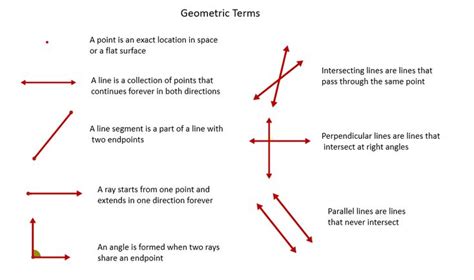 Картинки по запросу points of line | Basic geometry, Geometric terms ...