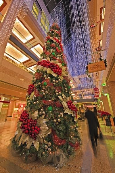 Mall Decorated Christmas Tree Picture | Photo, Information