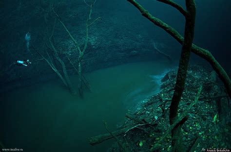 Underwater River Is A Scuba Diver's Dream -- Cenote Angelita, Mexico | HuffPost