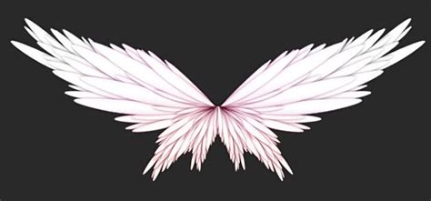 Butterfly Angel Wings - Butterfly Kisses Angel Wings Home Facebook ...