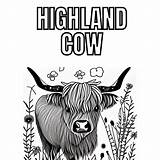 Highland Cow Coloring Pages PDF Printable  Etsy sketch template