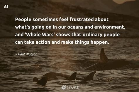 35 Whale Quotes To Help You Be Calm And Hopeful