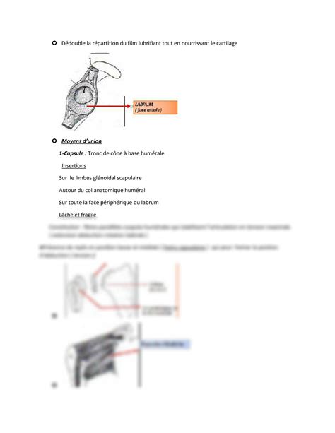 SOLUTION: Anatomy Anatomy Anatomy Anatomy Anatomy Anatomy Anatomy Anatomy Anatomy Anatomy9 ...