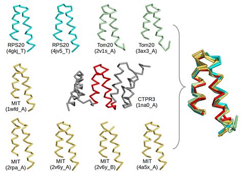 Repetition helps proteins to fold – Life’s Building Blocks – Medium