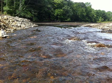 Mill River Restoration: The first riffle in 200 years