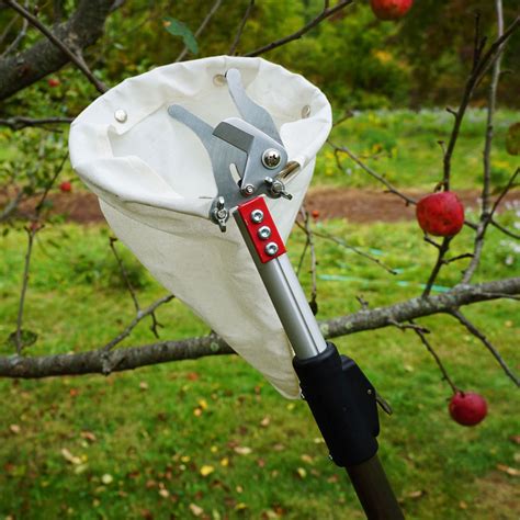 Garden Hand Tools New Blueberry Picker Wild Berry Picker Ergonomic Soft-touch Handle Easy To Use ...