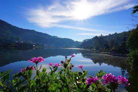 #วิวสวยๆ#วิว#ธรรมชาติ#ท้องฟ้า#เเม่น้ำ#ดอกไม้#ดอกไม้สีชมพู#ต้นไม้#สีฟ้า ...