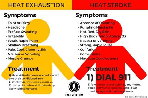 From Babies To Grandparents, Here’s How To Prevent Heat Stroke This ...