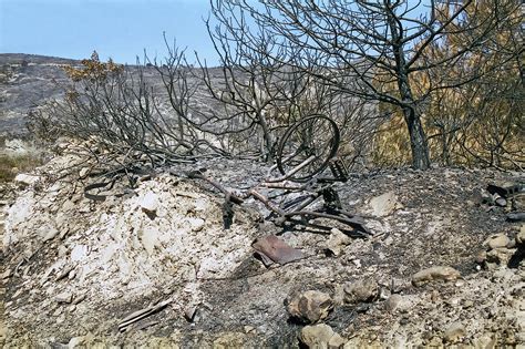 Wildfire Aftermath, July 2000 | Charred landscape and burnt-… | Flickr