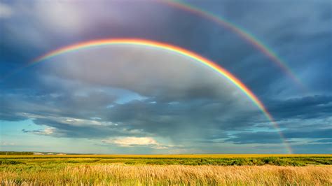 Explainer: Rainbows, fogbows and their eerie cousins