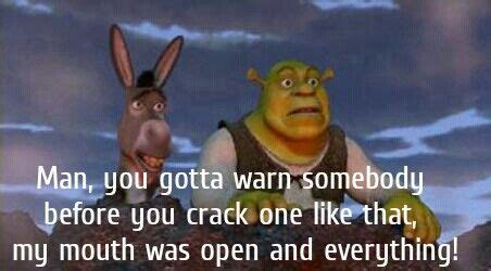 Funny Donkey Quotes From Shrek - ShortQuotes.cc