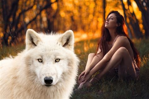 The Millennium Wolves: A Juicy Supernatural Romance - Wehear