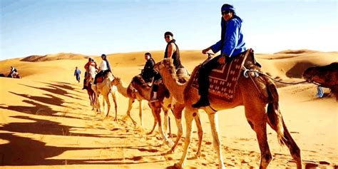 Camel Trekking in Morocco - Morocco Shared Tours