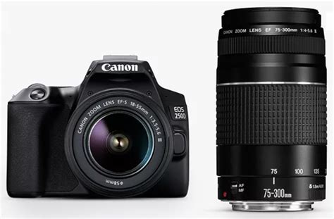 Canon EOS 250D Digital SLR Camera with 18-55mm & 75-300mm Lenses (DRAWN 22.08.21) – Bounty ...