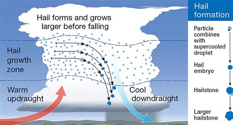 Kids News explainer: What causes hail? | KidsNews