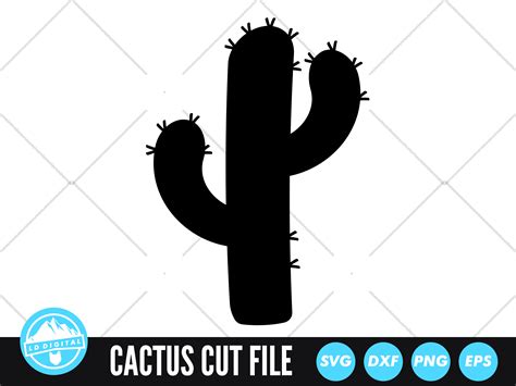 Cactus SVG | Cactus Silhouette Cut File By LD Digital | TheHungryJPEG