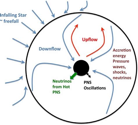 Supernova Explosion Diagram