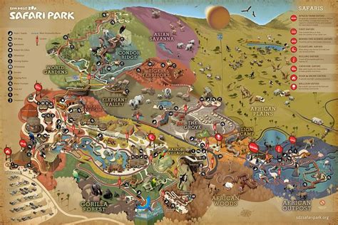 New Safari Park Map by San Diego Zoo Global, via Flickr | San diego zoo safari park, San diego ...