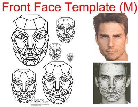 Male Face Template, Male Face Ratio, Male Face Grid, Front Face ...