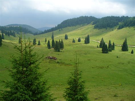 TreKKing Romania: Apuseni Mountains