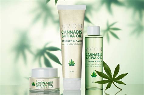 Cosmético de Cannabis (CBD): 10 razões para conhecer e consumir - Don Alcides