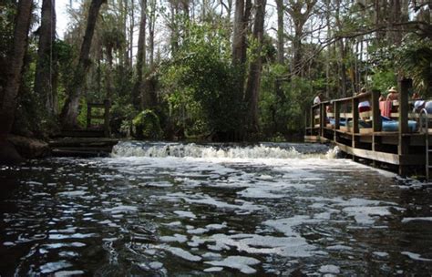 Timeline - Celebrating 40 Years - Loxahatchee River District