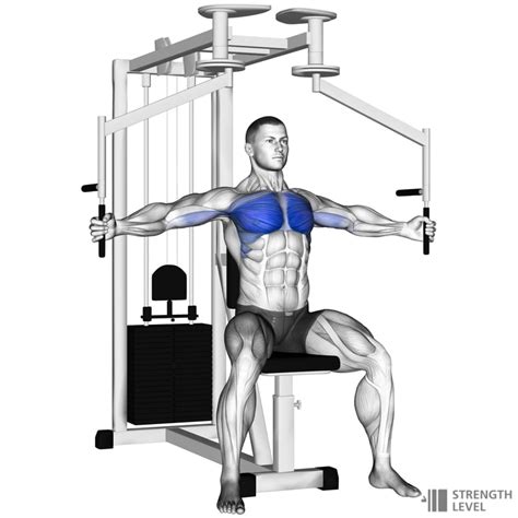 Machine Chest Fly Standards for Men and Women (lb) - Strength Level