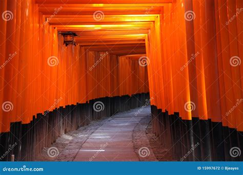 Torii Gates - Kyoto Japan stock photo. Image of point - 15997672