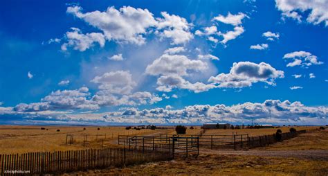 Texas Panhandle Faith | Reflections On Higher Education