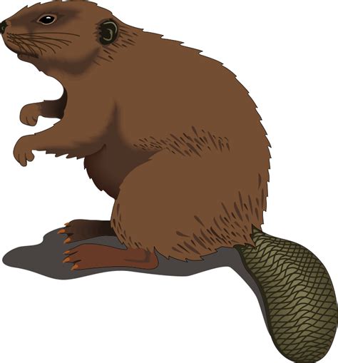 Brown Cartoon Beaver Clip Art | Clipart Panda - Free Clipart Images